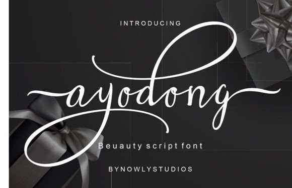 Ayodong: A Delicate Handwritten Font for Elegant Handmade Products