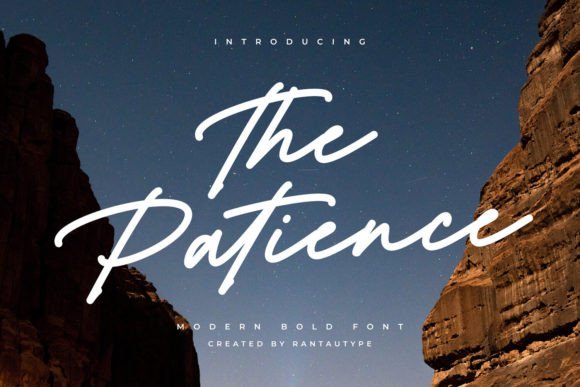 The Patience: A Modern Script Font That Makes Your Brand Feel Polished